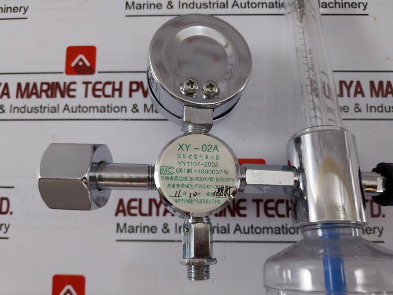 Danyang Danwei XY-02A Gas Regulator Flometer with Humidifier Bottle 110918306