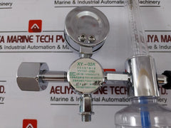 Danyang Danwei XY-02A Gas Regulator Flometer with Humidifier Bottle 110918306