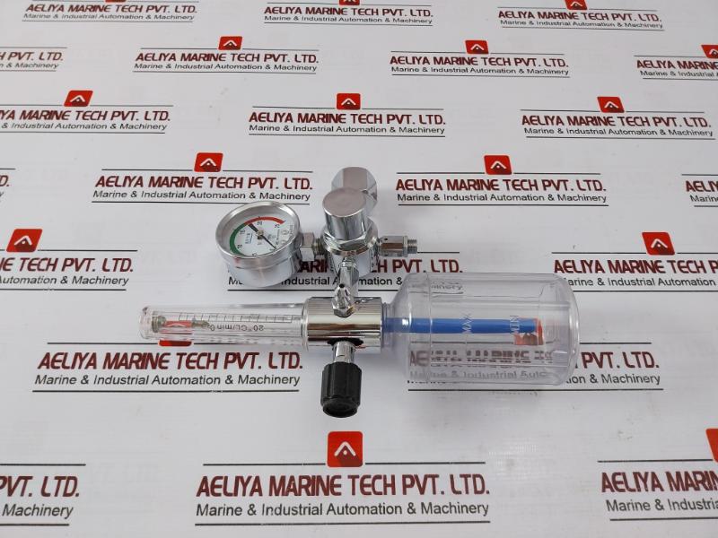 Danyang Danwei XY-02A Gas Regulator Flometer with Humidifier Bottle 110918306