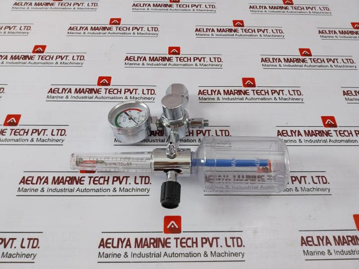 Danyang Danwei XY-02A Gas Regulator Flometer with Humidifier Bottle 110918306