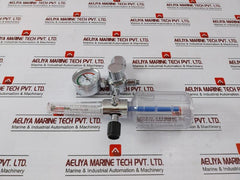 Danyang Danwei XY-02A Gas Regulator Flometer with Humidifier Bottle 110918306
