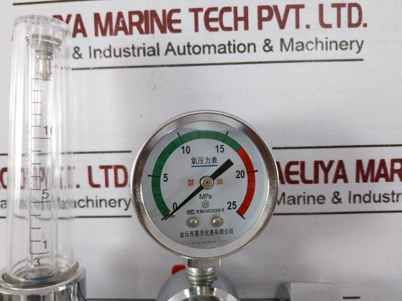 Danyang Danwei XY-02A Gas Regulator Flometer with Humidifier Bottle 110918306