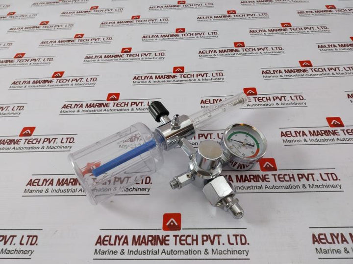 Danyang Danwei XY-02A Gas Regulator Flometer with Humidifier Bottle 110918306