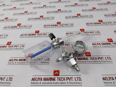 Danyang Danwei XY-02A Gas Regulator Flometer with Humidifier Bottle 110918306