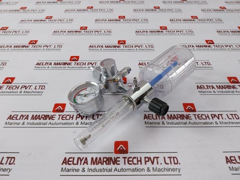 Danyang Danwei XY-02A Gas Regulator Flometer with Humidifier Bottle 110918306