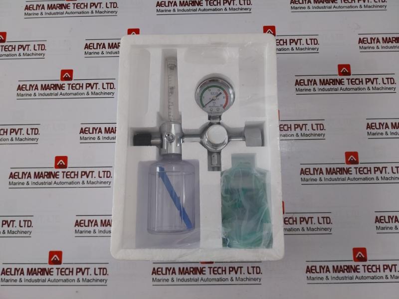 Danyang Danwei XY-02A Gas Regulator Flometer with Humidifier Bottle 110918306