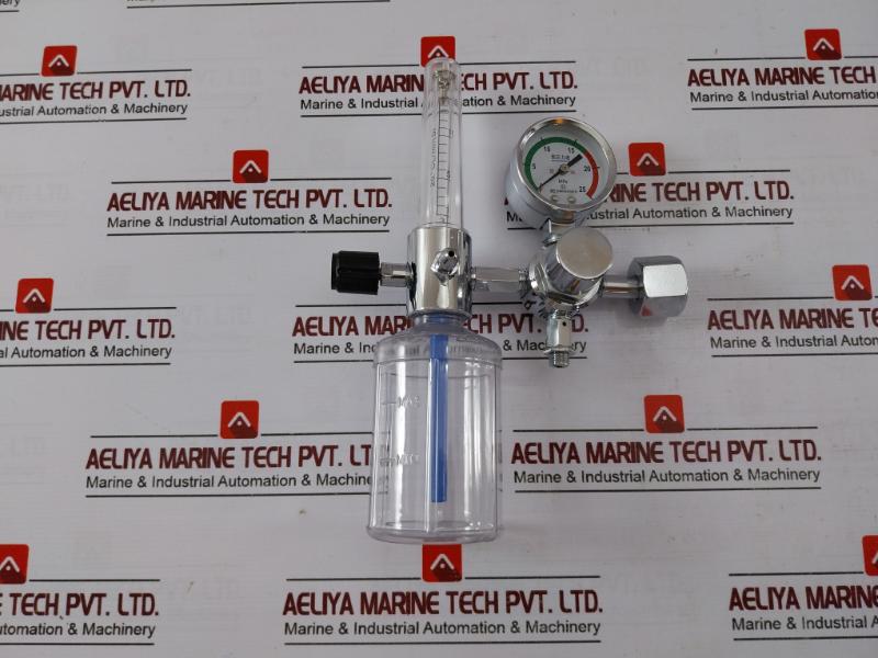 Danyang Danwei Xy-02a Gas Regulator Flometer With Humidifier Bottle 110918306