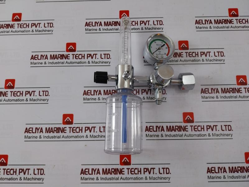 Danyang Danwei XY-02A Gas Regulator Flometer with Humidifier Bottle 110918306