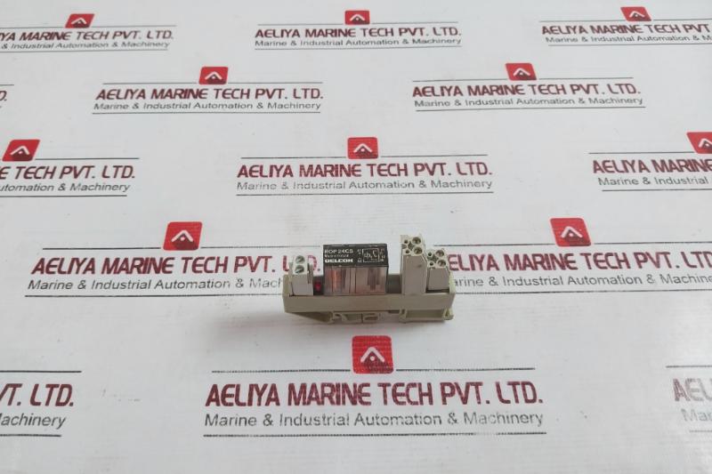 Delcon Rop 24Cs Solid State Relay With Wieland Bamberg Web 1002