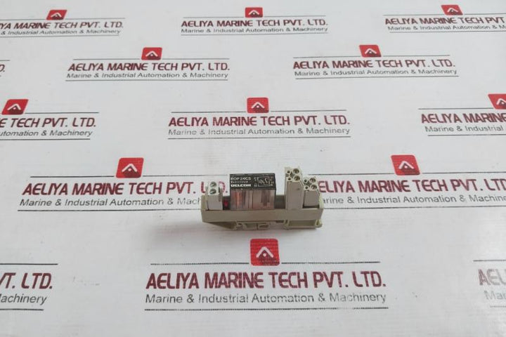 Delcon Rop 24Cs Solid State Relay With Wieland Bamberg Web 1002