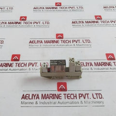 Delcon Rop 24Cs Solid State Relay With Wieland Bamberg Web 1002