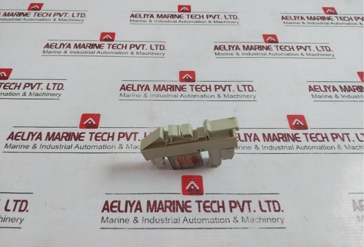 Delcon Rop 24Cs Solid State Relay With Wieland Bamberg Web 1002