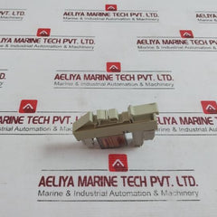 Delcon Rop 24Cs Solid State Relay With Wieland Bamberg Web 1002
