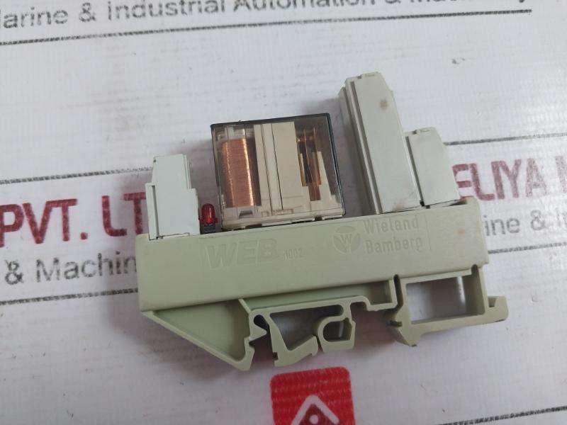 Delcon Rop 24Cs Solid State Relay With Wieland Bamberg Web 1002