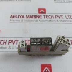 Delcon Rop 24Cs Solid State Relay With Wieland Bamberg Web 1002