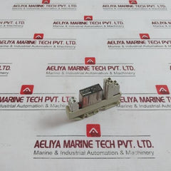 Delcon Rop 24Cs Solid State Relay With Wieland Bamberg Web 1002