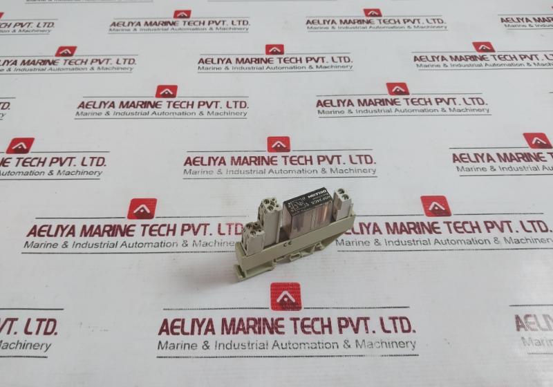 Delcon Rop 24Cs Solid State Relay With Wieland Bamberg Web 1002