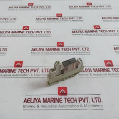 Delcon Rop 24Cs Solid State Relay With Wieland Bamberg Web 1002