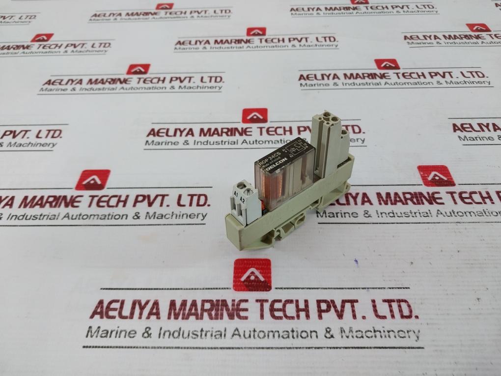 Delcon Rop 24Cs Solid State Relay With Wieland Bamberg Web 1002 Base