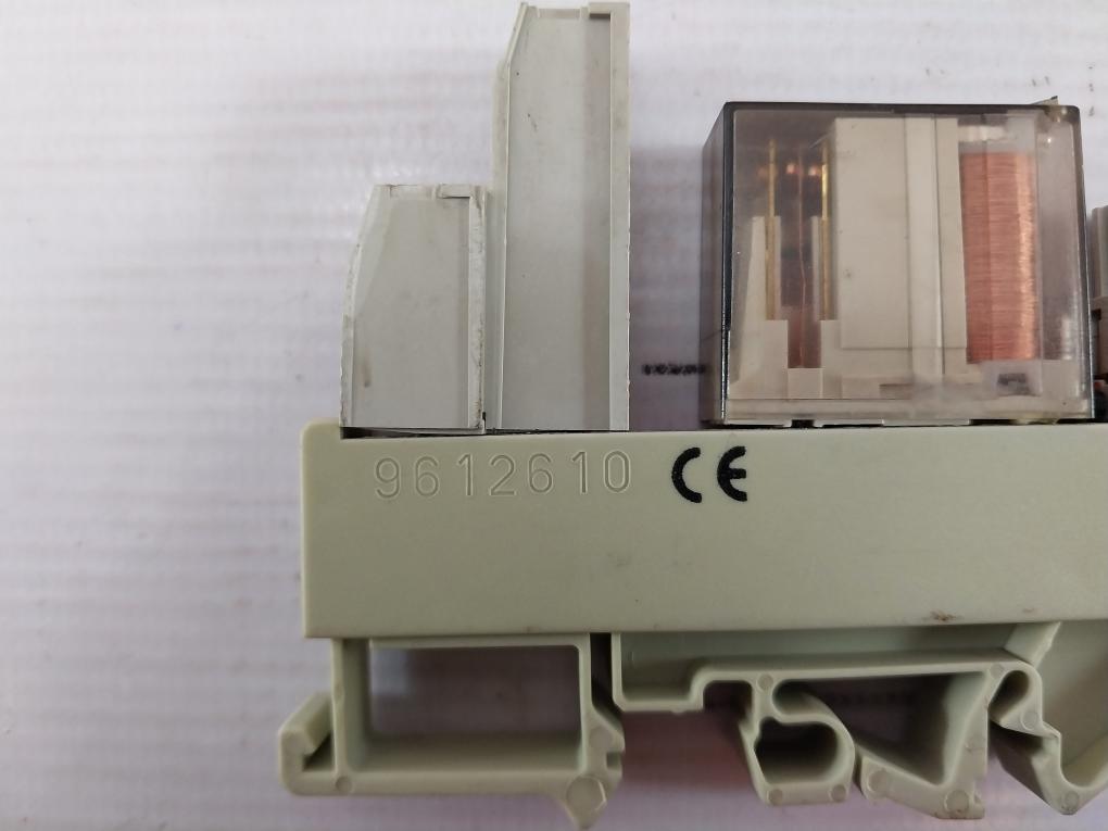 Delcon Rop 24Cs Solid State Relay With Wieland Bamberg Web 1002 Base