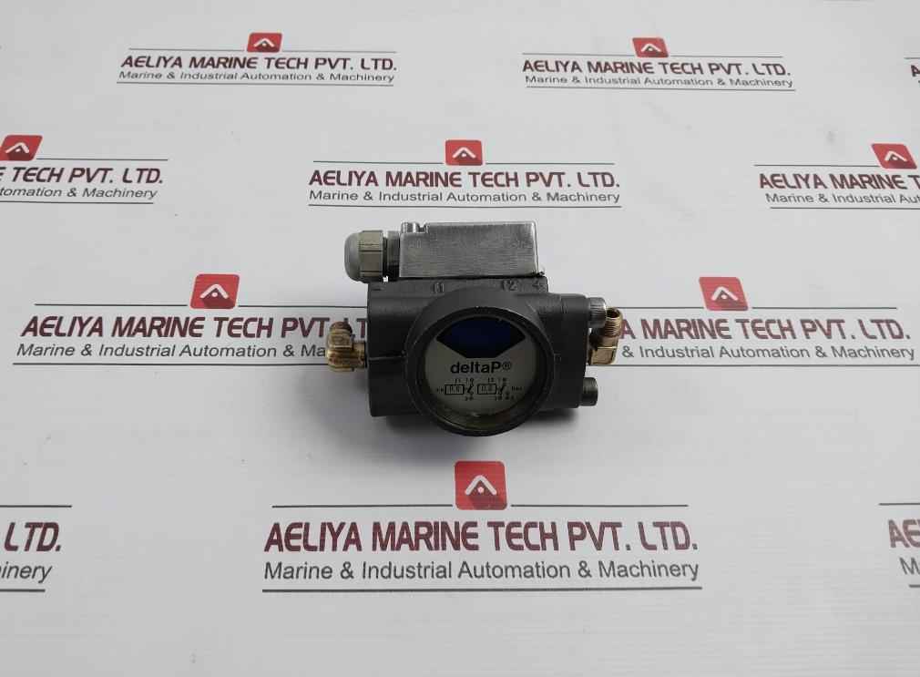 Deltap 0.6-0.8 Bar Differential Pressure Indicator