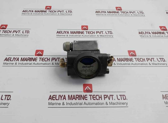 Deltap 0.6-0.8 Bar Differential Pressure Indicator