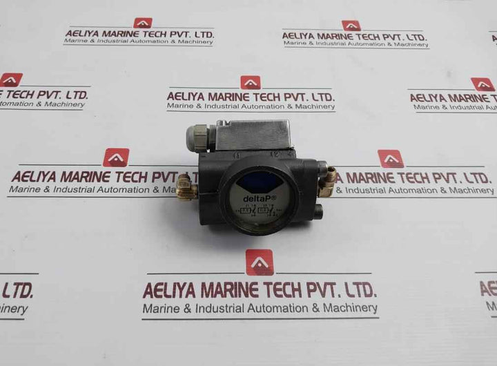 Deltap 0.6-0.8 Bar Differential Pressure Indicator
