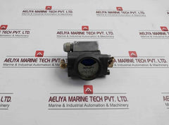 Deltap 0.6-0.8 Bar Differential Pressure Indicator