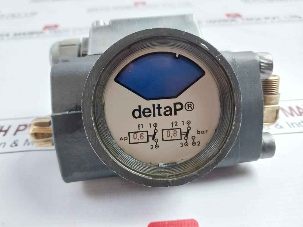 Deltap 0.6-0.8 Bar Differential Pressure Indicator