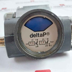 Deltap 0.6-0.8 Bar Differential Pressure Indicator