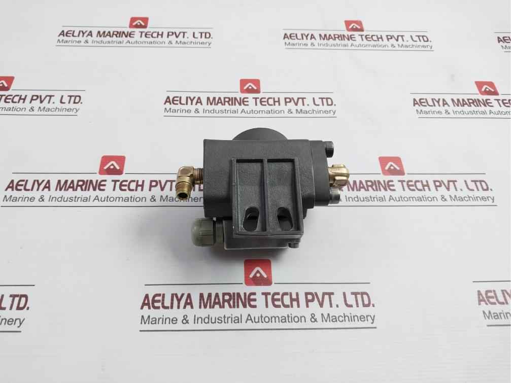 Deltap 0.6-0.8 Bar Differential Pressure Indicator