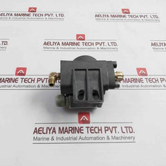 Deltap 0.6-0.8 Bar Differential Pressure Indicator