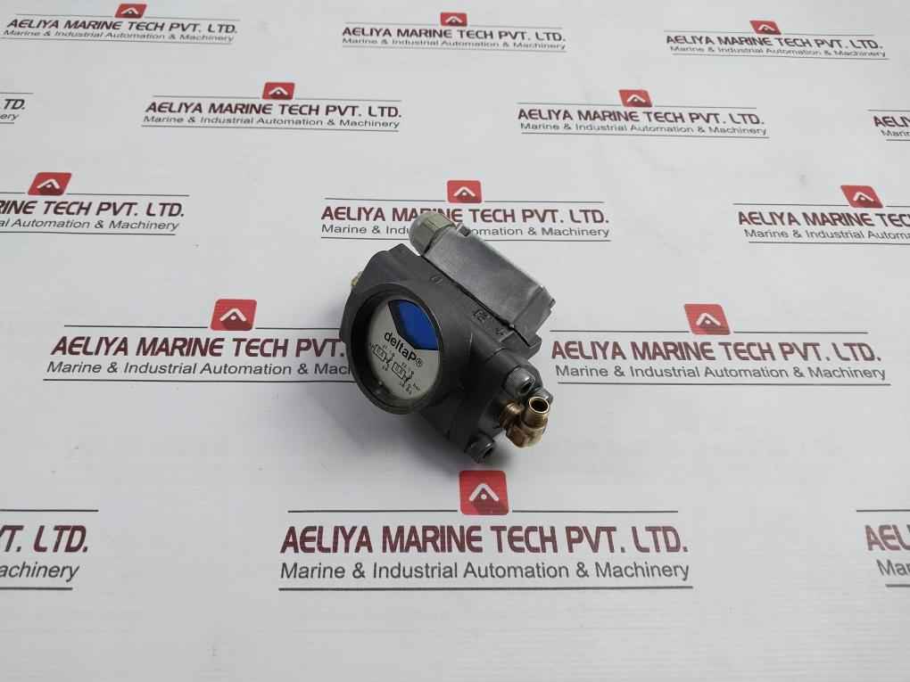 Deltap 0.6-0.8 Bar Differential Pressure Indicator