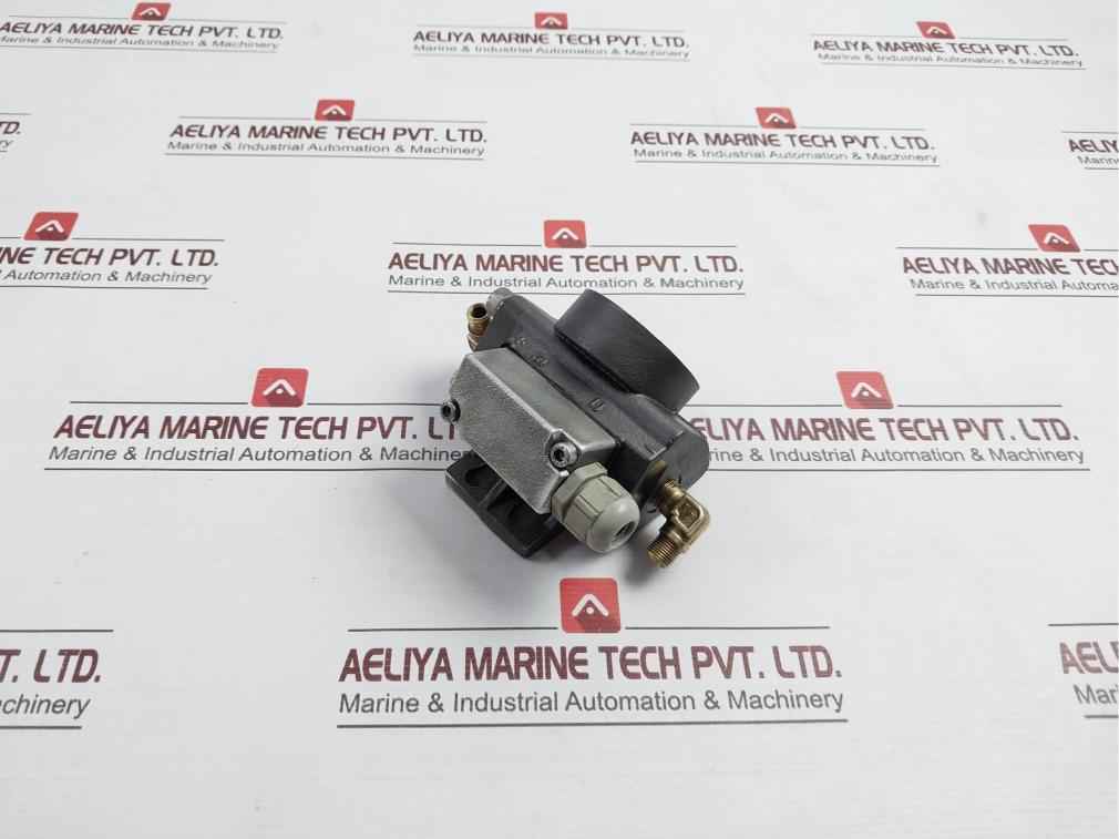 Deltap 0.6-0.8 Bar Differential Pressure Indicator