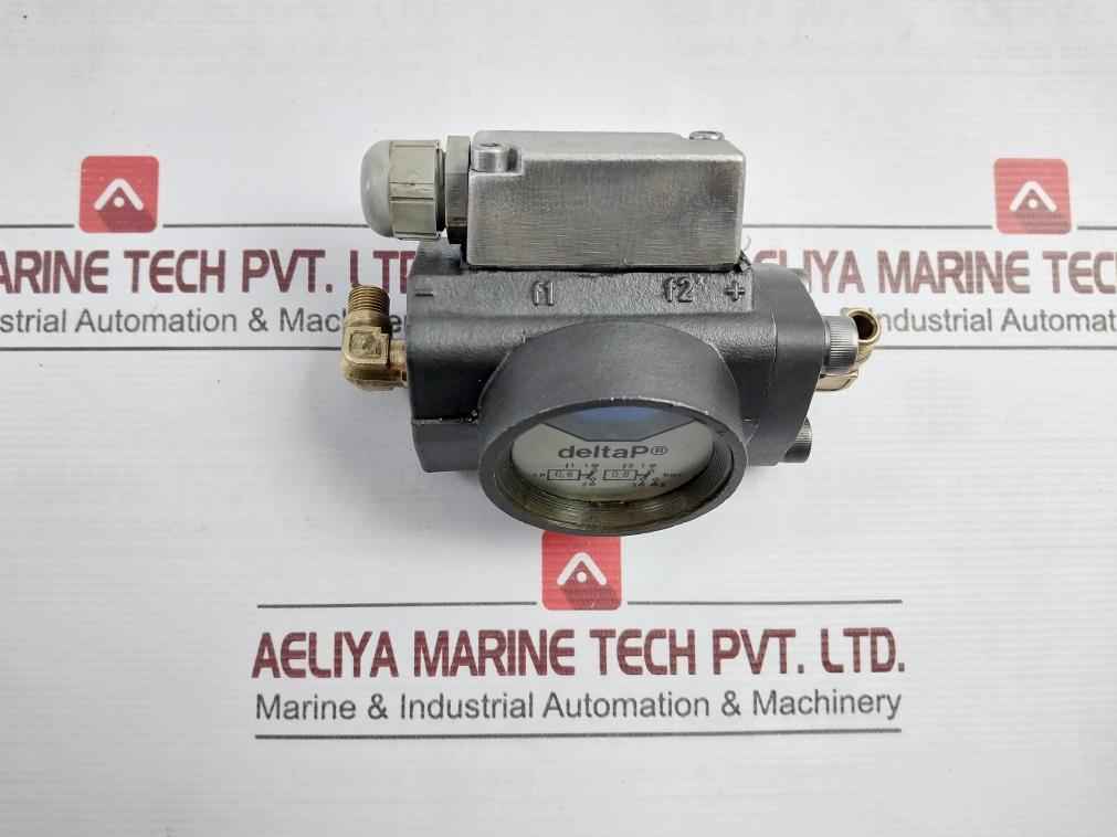 Deltap 0.6-0.8 Bar Differential Pressure Indicator