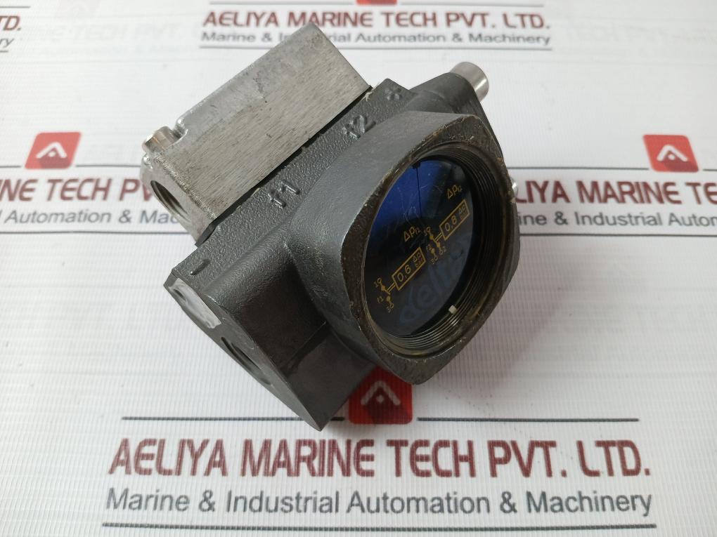 Deltap Differential Pressure Indicator 0.6-0.8 Bar