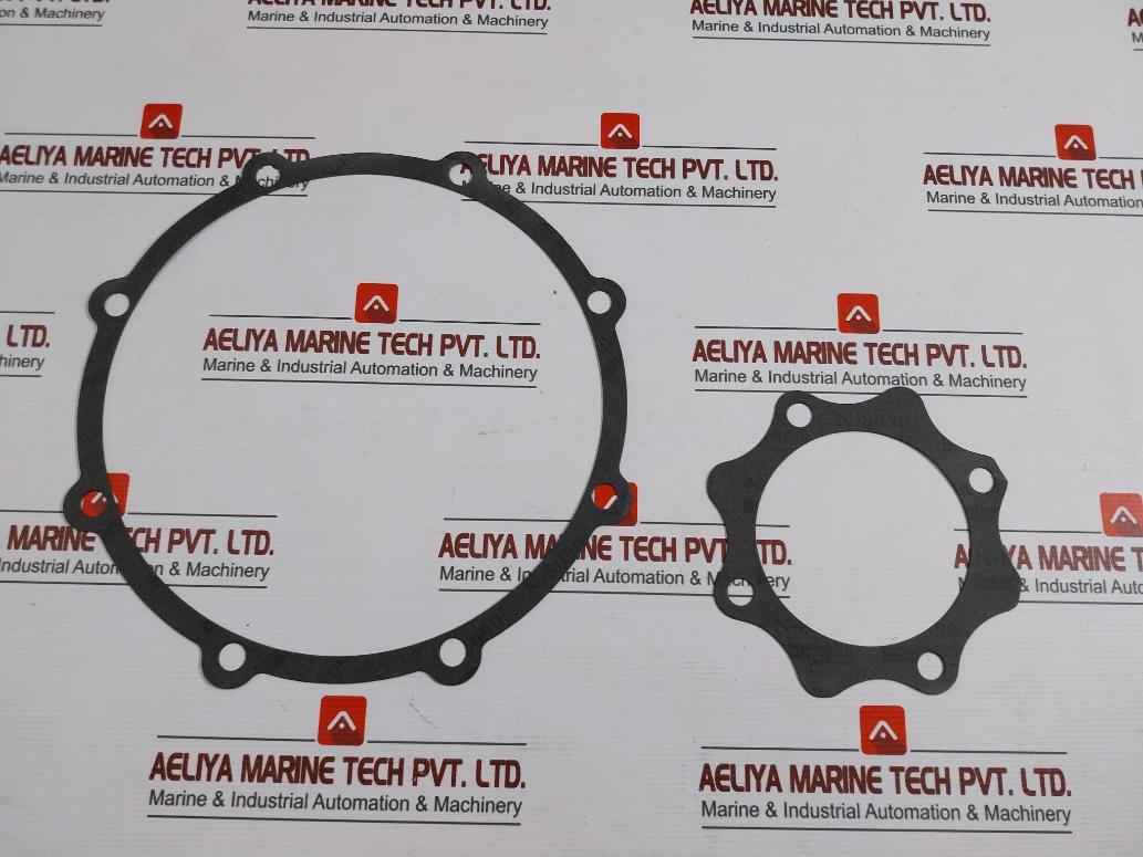 Deming 0004553 Gasket Kit For Pump Casing