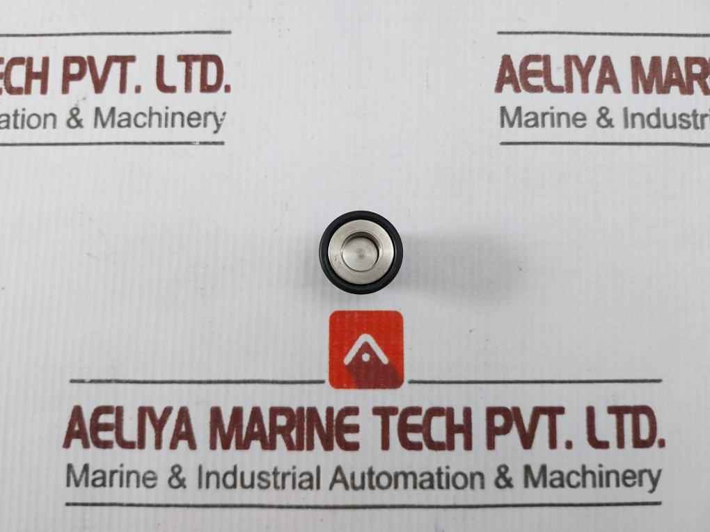 Den 3pc Check Valve Repair Kit Axial