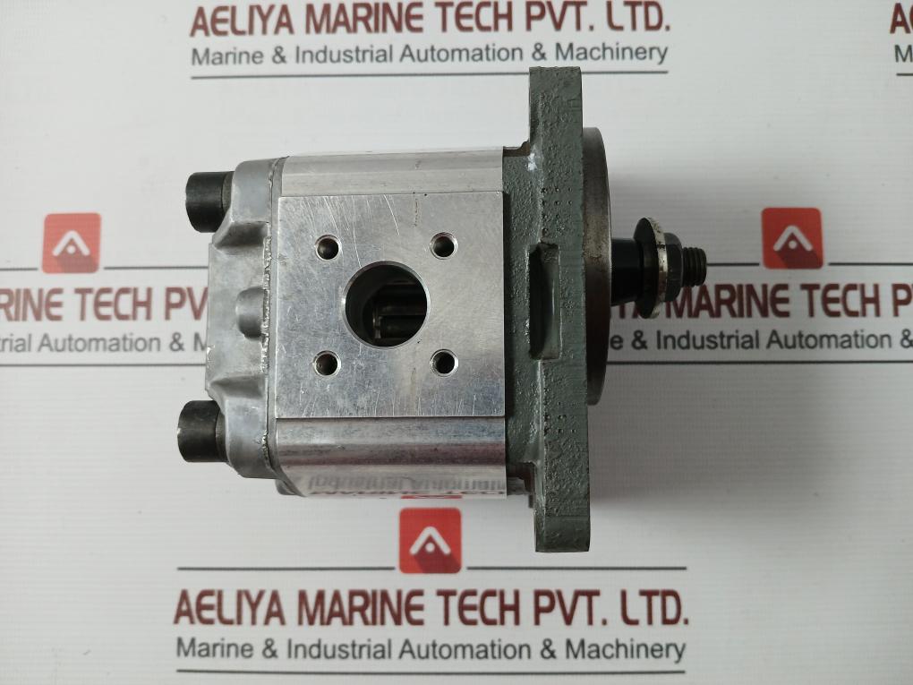 Denison Hydraulics 5368652 Hydraulic Gear Pump