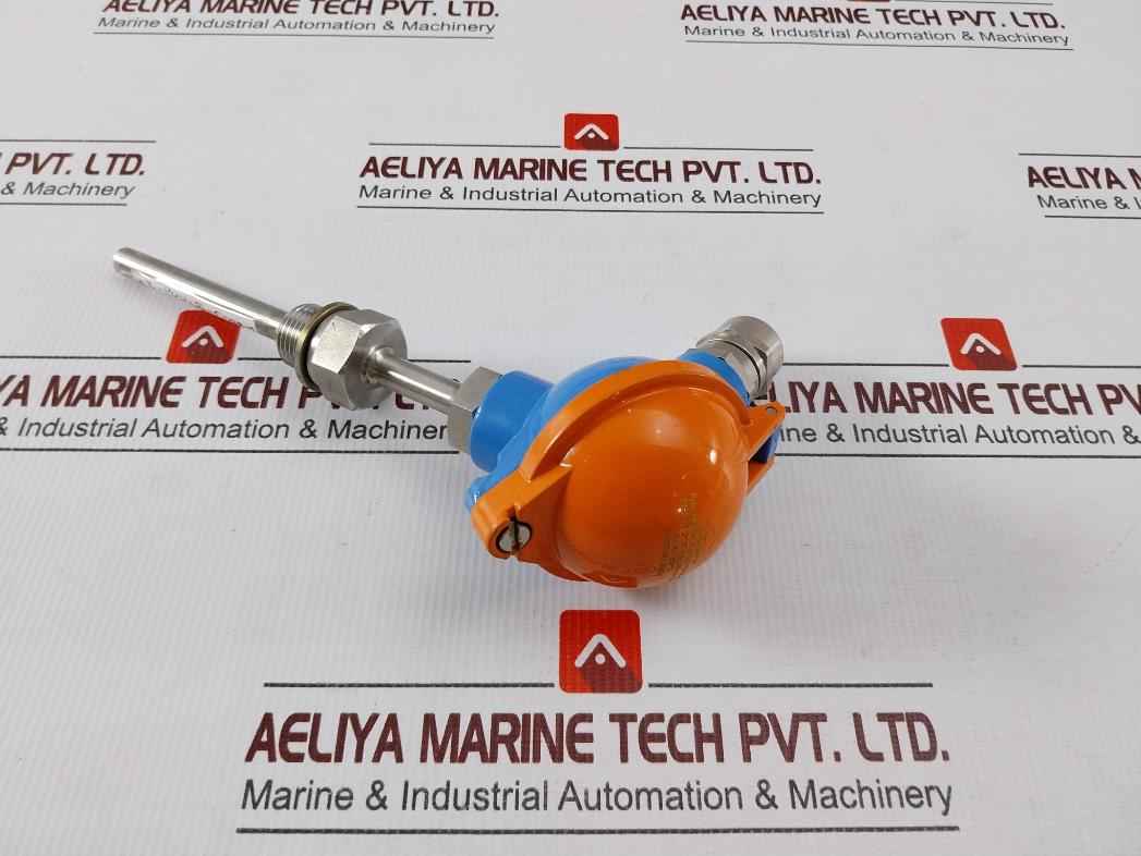 Desmi Ubmr1 Resistor Temperature Sensor 1xpt100 10/100mm Aisi316 G1/2"