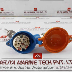 Desmi Ubmr1 Resistor Temperature Sensor 1xpt100 10/100mm Aisi316 G1/2"