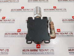Detector Electronics Det-tronics U9500 B2002 Hydrogen Sulfide (H2s) Sensor