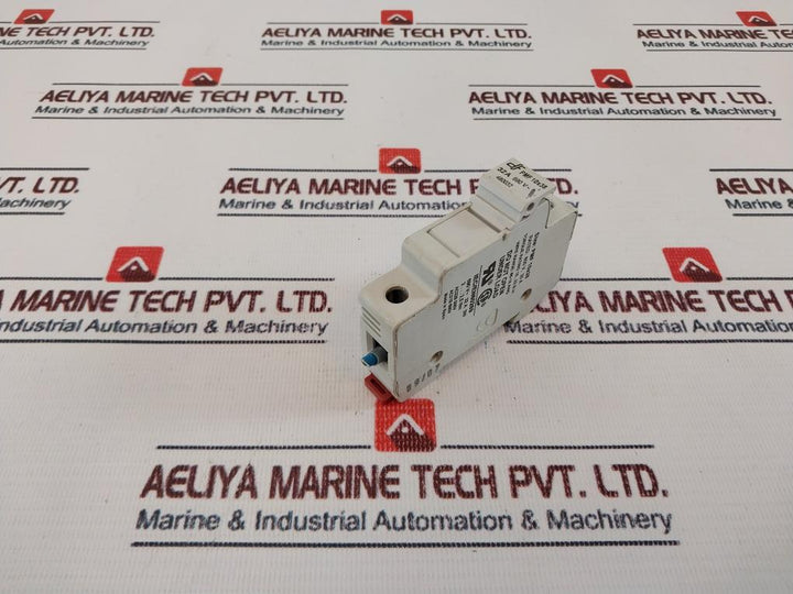 DF Electric PMF 10X38 Fuse Holder 480032