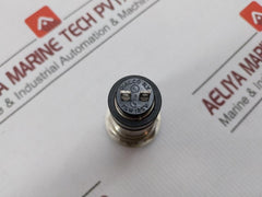 Dialco Indicating Pilot Light 75W/125V