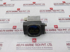 Differential Pressure Indicator 0.7 Delta P Bar Max 1.3 F2 75%