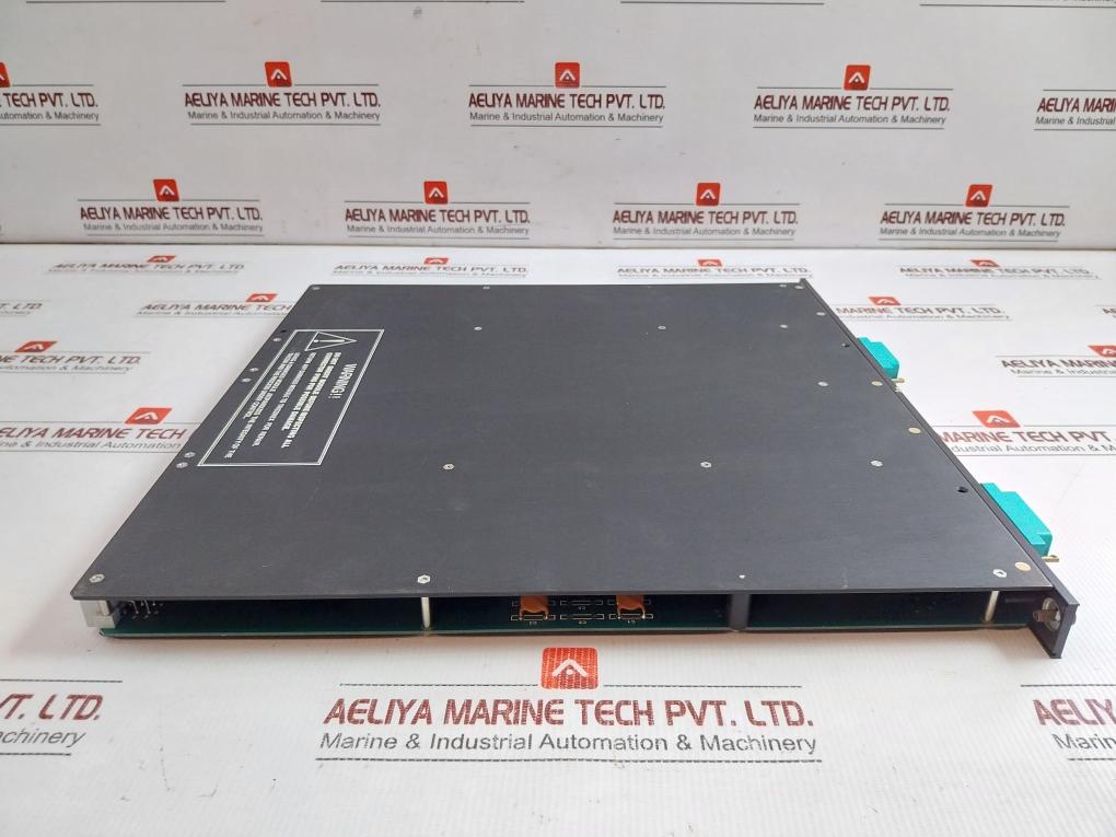 Digital-Input-External-Terminator-Module-Fsmi-2-00-Triconex-3000109-300-209505-8