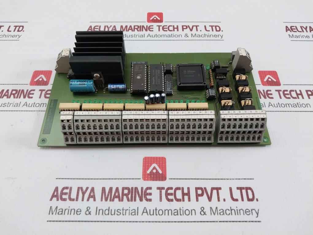 Digital Control Unit Board Avecs Bergen Sku 199719