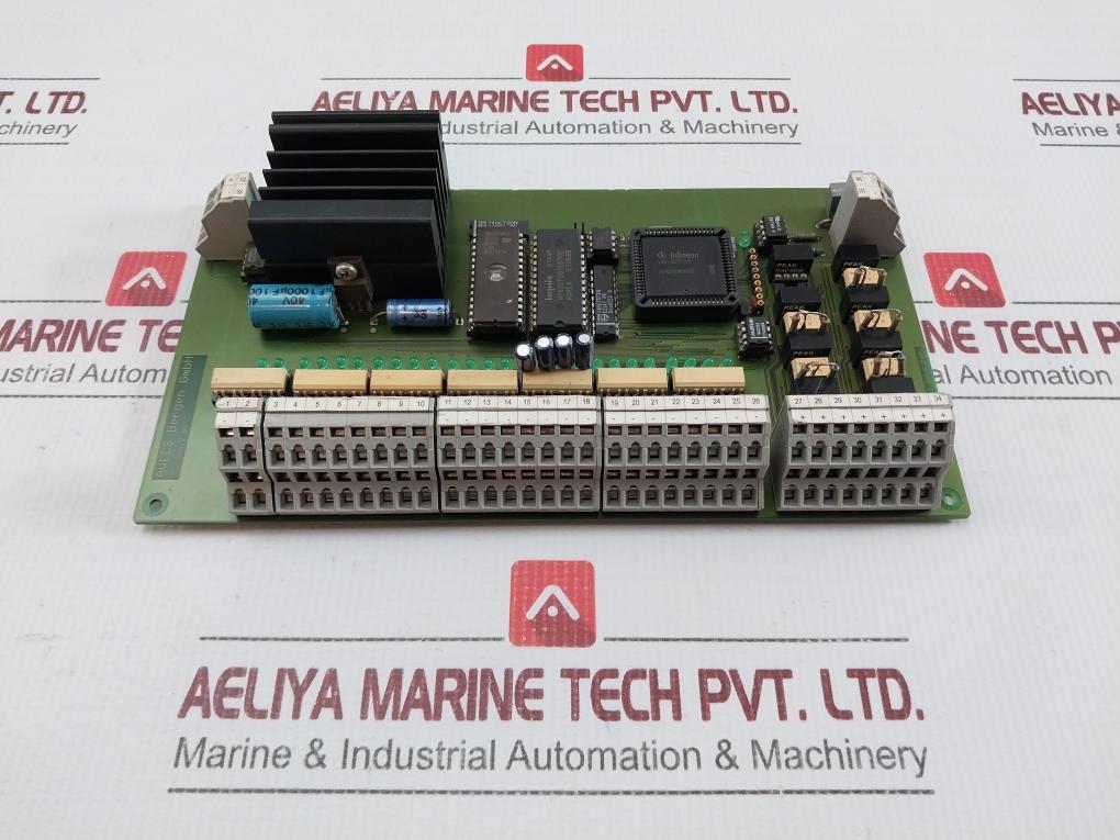 Digital Control Unit Board Avecs Bergen Sku 199719