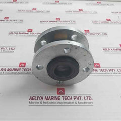 Din Pn16 Dn50 Flex Expansion Joint Flange