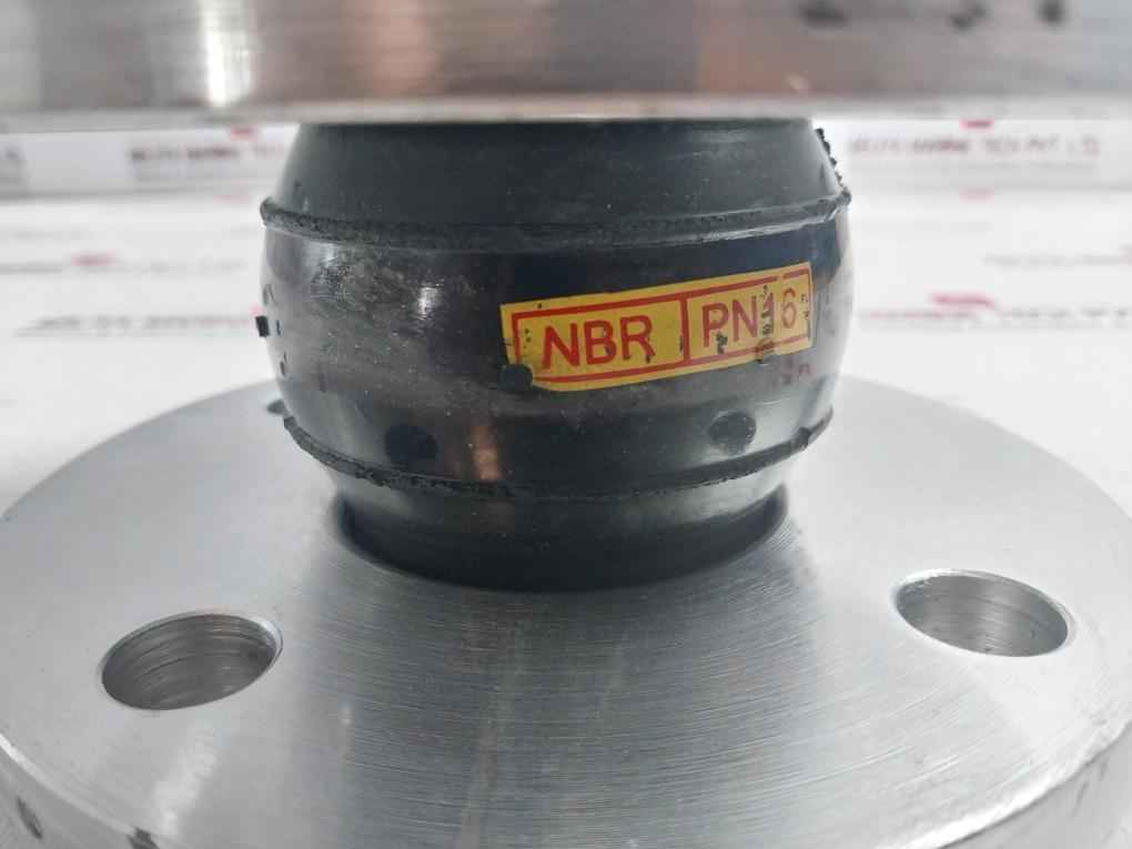 Din Pn16 Dn50 Flex Expansion Joint Flange